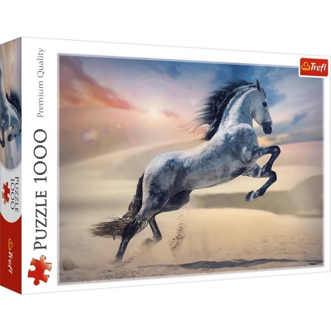 Puzzle 1000 dílků Majestátní kůň