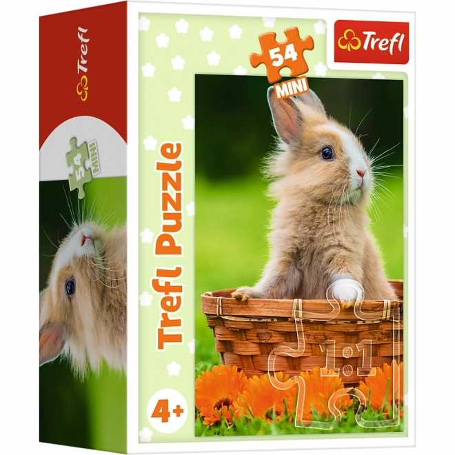 Minipuzzle 54 dílků Zvířátka - mláďata 4 druhy v krabičce 9x6,5x4cm 40ks v boxu