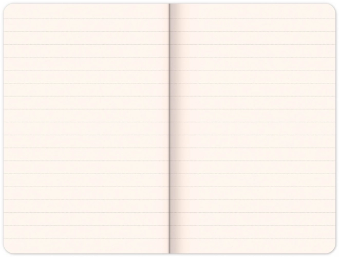 Notepad Malý princ – Boy, linkovaný