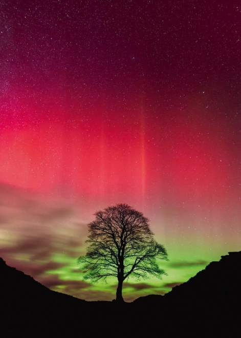 Puzzle Heye Síla přírody: Sycamore Gap, 1000 dílků