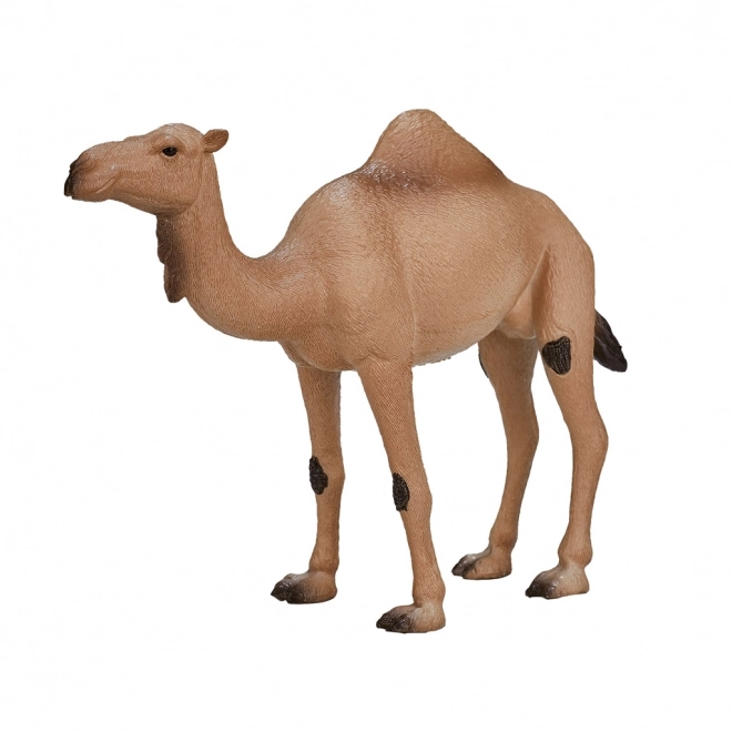 Mojo Animal Planet Velbloud jednohrbý