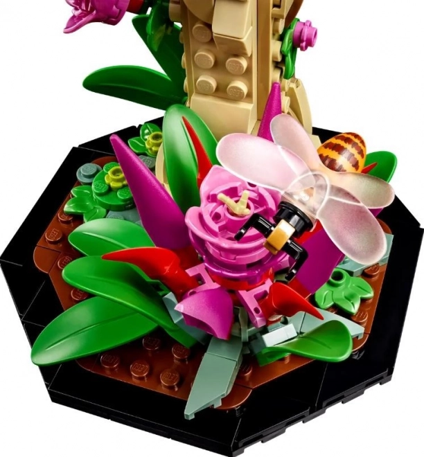 LEGO® Ideas 21342 Hmyzí kolekce