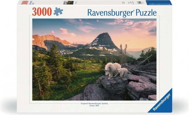 Puzzle Alpská koza s mládětem od Ravensburger