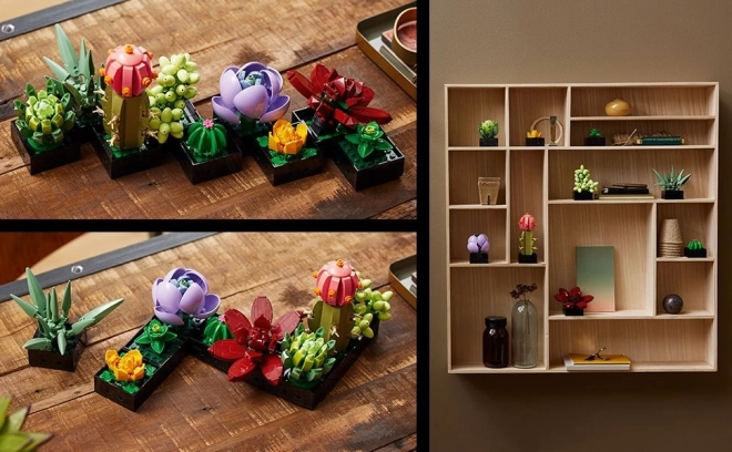 LEGO Botanické ikony 10309 Sukulenty