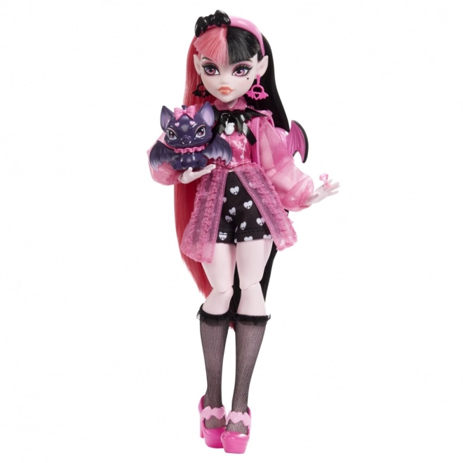 Monster High panenka s příslušenstvím