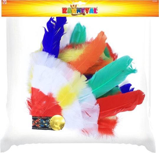 Připraveno na karneval