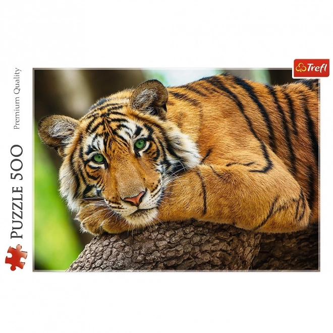 Puzzle Tygří portrét 500 dílků