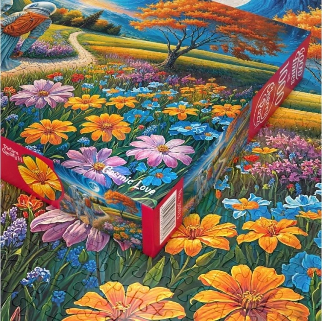 Puzzle Kosmická láska s 1000 dílky