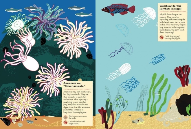 Chronicle Books Kniha aktivit se samolepkami My nature – Na Pobřeží