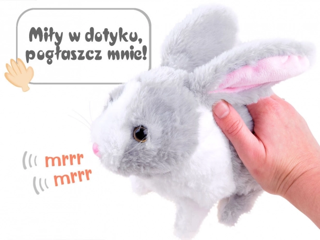 Interaktivní králíček s mrkvičkou – Šedá