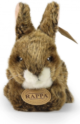 Exkluzivní kolekce RAPPA