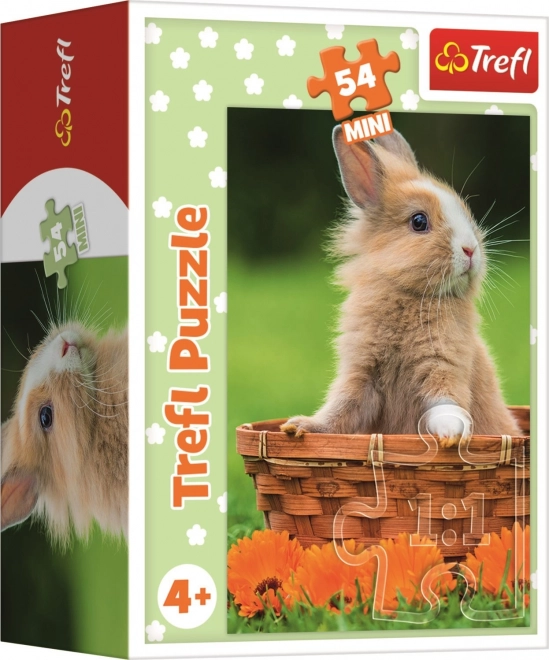 Trefl puzzle Roztomilá zvířátka: králíček v košíku 54 dílků