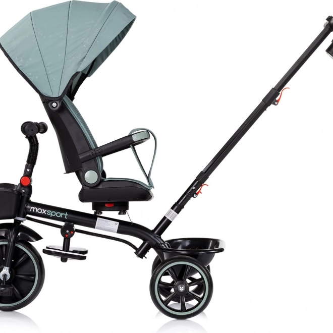Tříkolka se stříškou 2v1 Chipolino Max Sport Basil