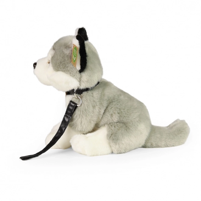 Plyšový pes Husky s vodítkem 28 cm od Rappa
