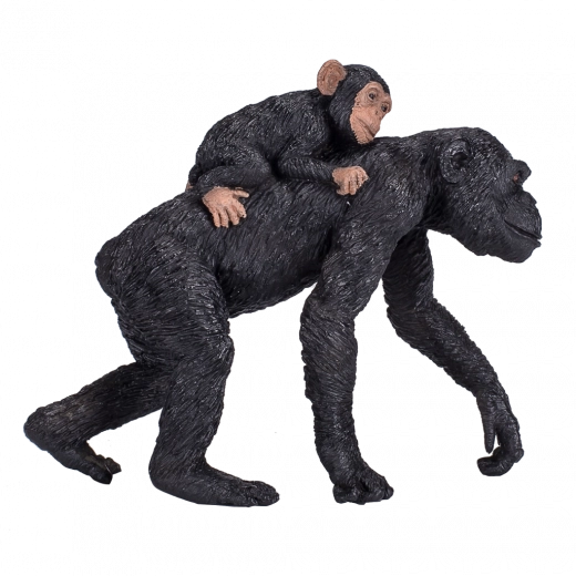 Skvělé pro hru i vzdělávání