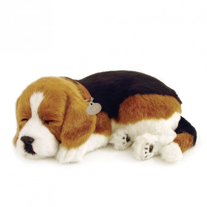 Oddychající štěňátko Beagle Perfect Petzzz
