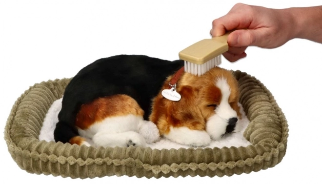 Oddychající štěňátko Beagle Perfect Petzzz