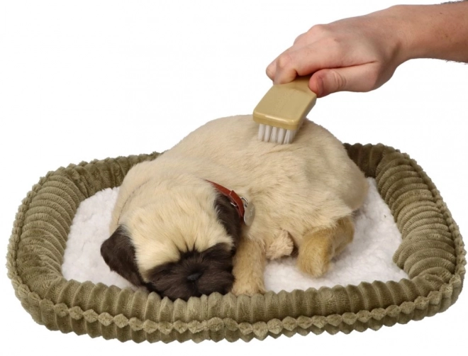 Dýchající štěně mops Perfect Petzzz