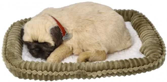 Dýchající štěně mops Perfect Petzzz