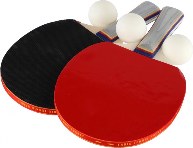 Sada na stolní tenis: 2 pálky + 3 míčky v pouzdru