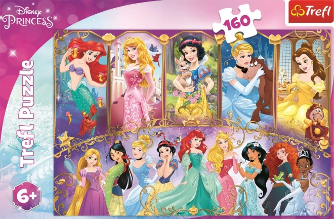 Puzzle Disney Princezny 160 dílků - Portréty Princezen