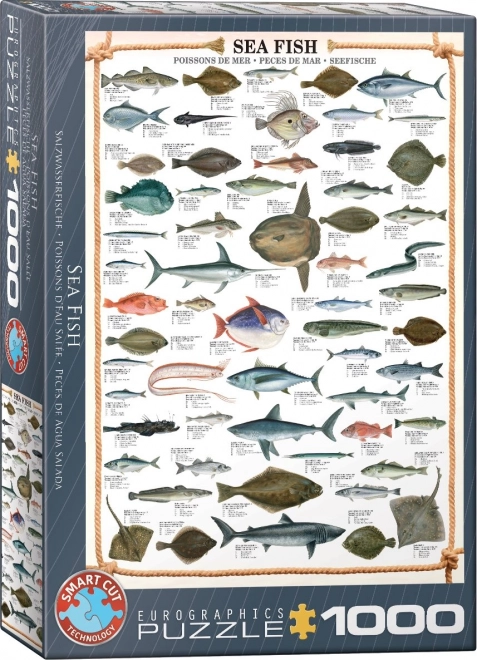 Puzzle Mořské ryby