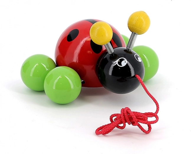 Hladká lakovaná dřevěná konstrukce