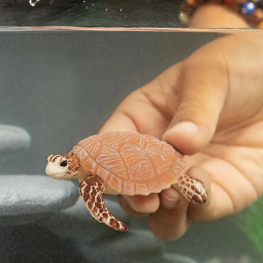 Odolná do dětských rukou