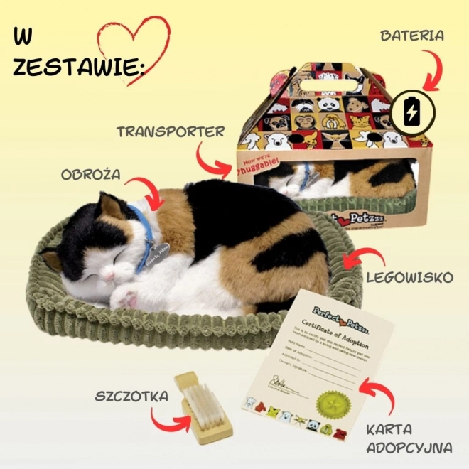 Adoptuj mě tříbarevné dýchací koťátko
