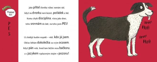 Rozpustilé hrátky na dvoře se zvířátky