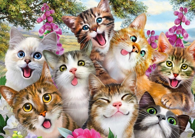 Schmidt Puzzle Kočičí Selfie 500 Dílky