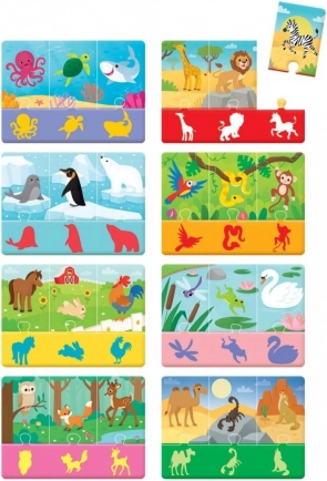 Barevné ilustrace zvířat a jejich prostředí