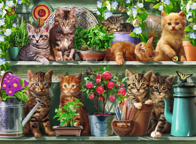 Puzzle Kočky na poličkách 500 dílků