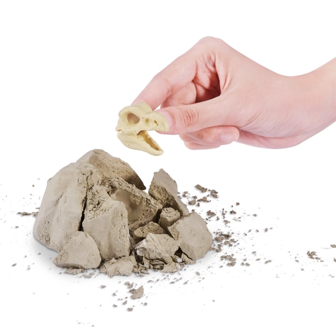 Čtyři druhy dinosaurů