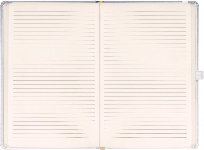 NOTIQUE Notes Balacron, stříbrný, linkovaný, 15 x 21 cm