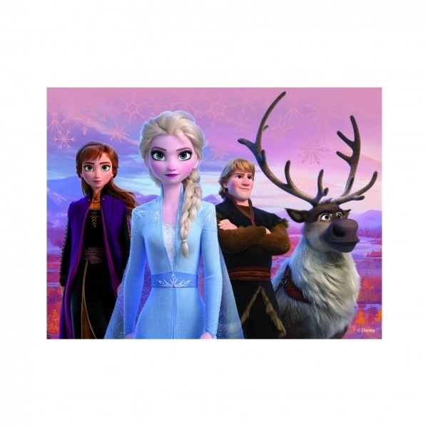 FROZEN II 12 Dřevěné licenční kostky