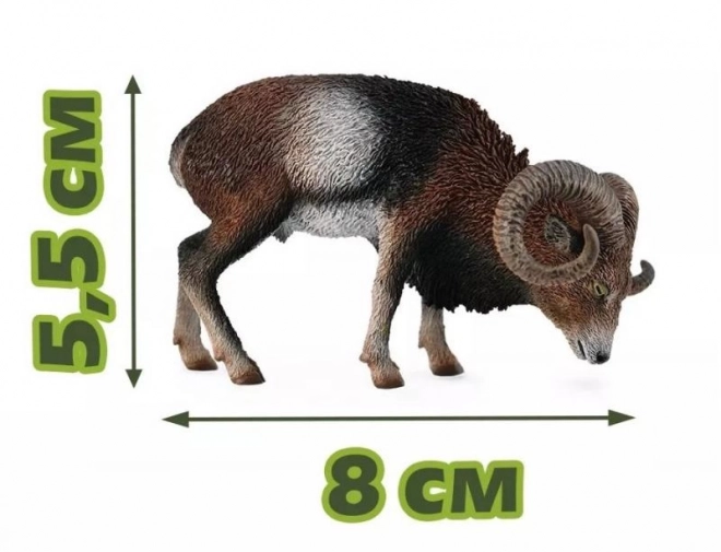Muflon evropský