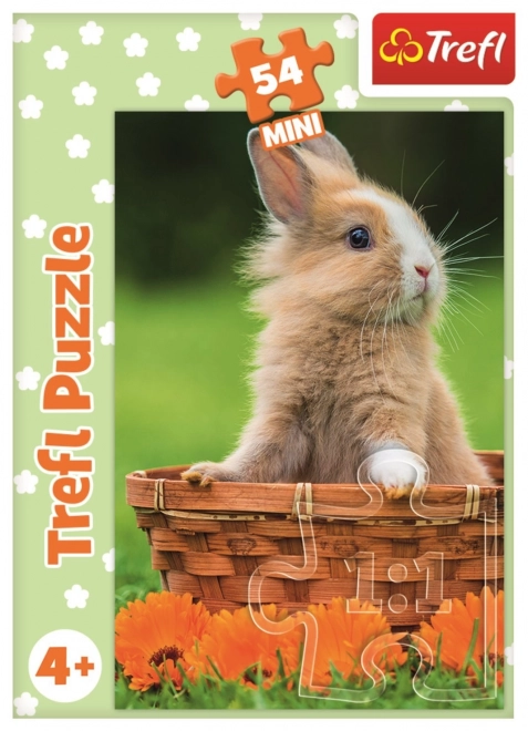 Trefl puzzle Roztomilá zvířátka: králíček v košíku 54 dílků