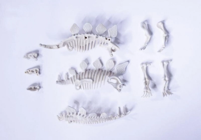 Sada na vykopávání a sestavení dinosauřích koster