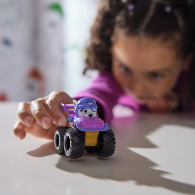 TlapkovÁ patrola multi bbalenÍ mini autÍČek rescue wheels