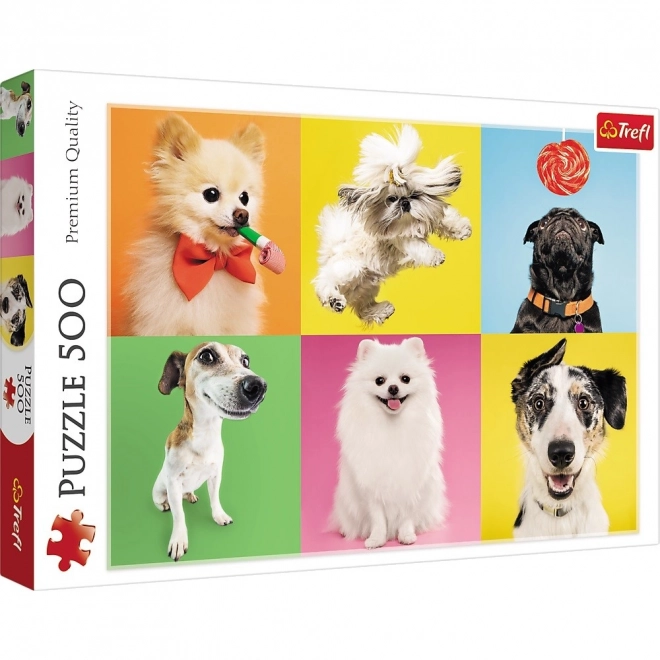 Puzzle 500 kusů Psi