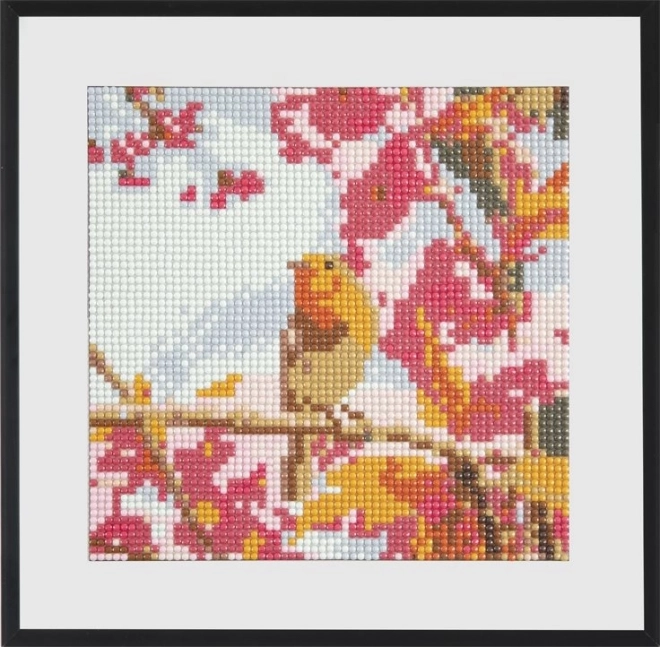 GRAFIX Diamantové malování Ptáček 20x20cm