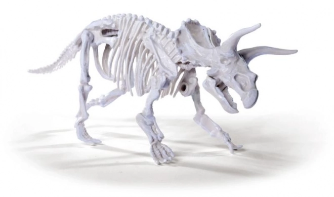 Sada na vykopávání a sestavení dinosauřích koster