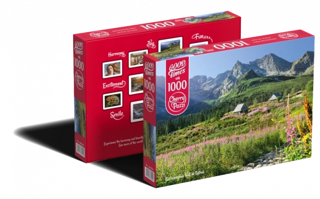 Puzzle Gąsienicowa dolina Vysoké Tatry 1000 dílků