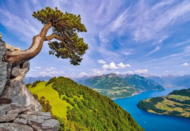 Puzzle 1000 dílků Jezero Uri Švýcarsko