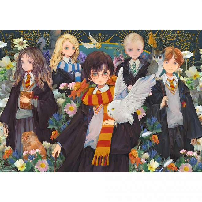 Puzzle Harry Potter Premium Plus 1000 ks