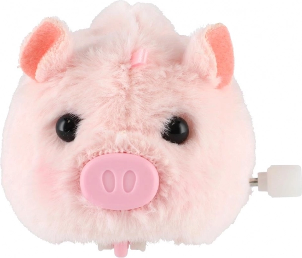 Zábavný pohyb po natažení