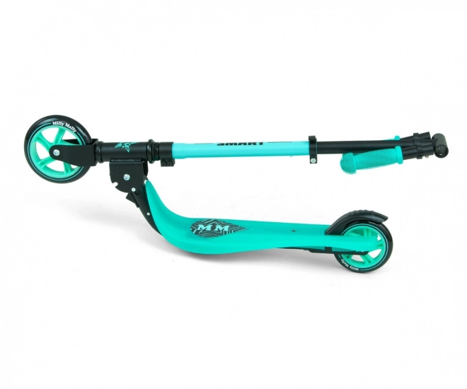Koloběžka Smart mint scooter