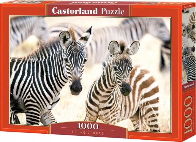 Puzzle 1000 dílků Mladé zebry