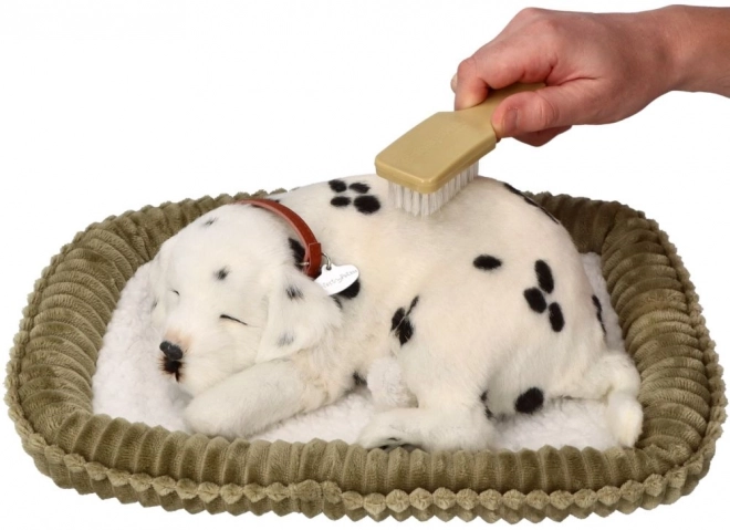 Perfect Petzzz adoptuj dýchajícího dalmatina